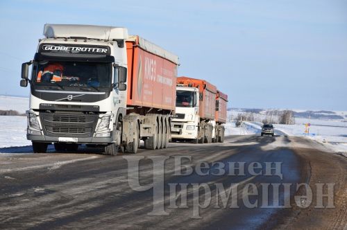 "БИО-АГРО" җәмгыятендә көнбагыш суктыралар (ФОТОРЕПОРТАЖ)