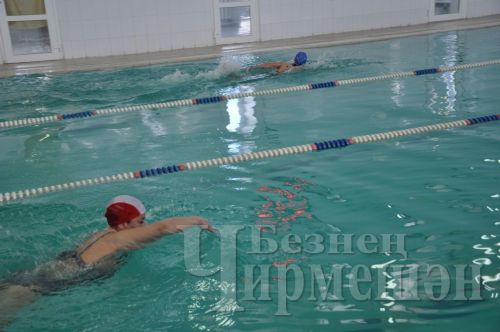 Иң оста спортчылар больницада эшли (ФОТОРЕПОРТАЖ)