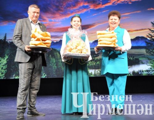 Түбән Камада узган якташлар очрашуыннан 69 фото