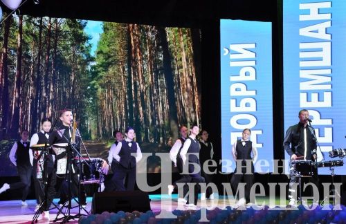 В Черемшане наградили победителей муниципальной премии в сфере добровольчества (ФОТОРЕПОРТАЖ)