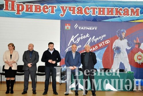 В Черемшане прошли соревнования по тхэквондо на кубок Деда Мороза (ФОТОРЕПОРТАЖ)