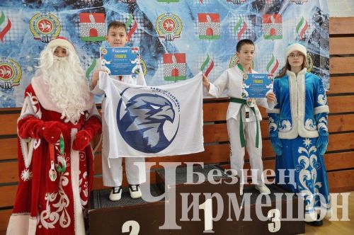 В Черемшане прошли соревнования по тхэквондо на кубок Деда Мороза (ФОТОРЕПОРТАЖ)