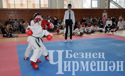 В Черемшане прошли соревнования по тхэквондо на кубок Деда Мороза (ФОТОРЕПОРТАЖ)