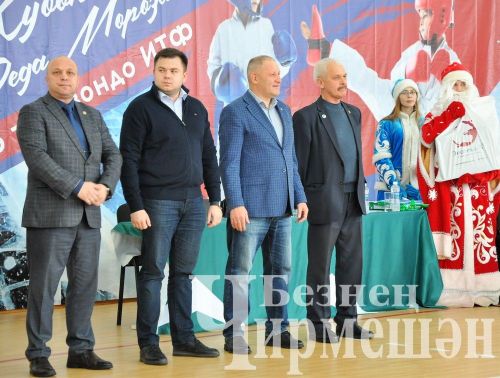 В Черемшане прошли соревнования по тхэквондо на кубок Деда Мороза (ФОТОРЕПОРТАЖ)