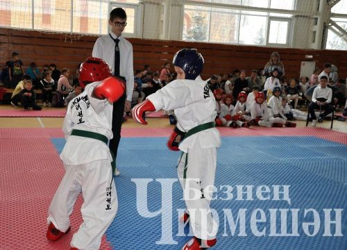 В Черемшане прошли соревнования по тхэквондо на кубок Деда Мороза (ФОТОРЕПОРТАЖ)