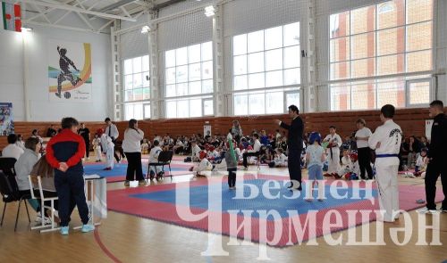 В Черемшане прошли соревнования по тхэквондо на кубок Деда Мороза (ФОТОРЕПОРТАЖ)
