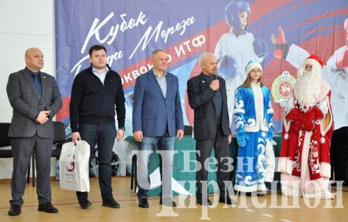 В Черемшане прошли соревнования по тхэквондо на кубок Деда Мороза (ФОТОРЕПОРТАЖ)