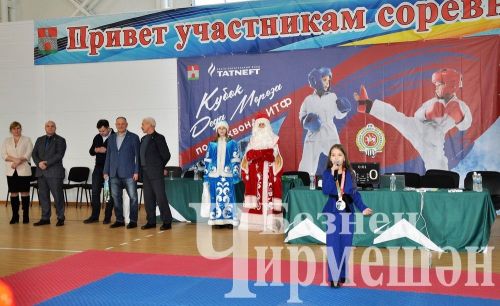 В Черемшане прошли соревнования по тхэквондо на кубок Деда Мороза (ФОТОРЕПОРТАЖ)