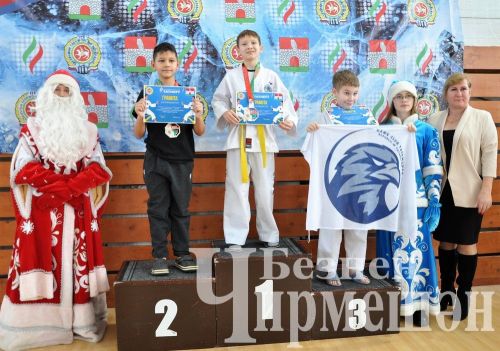 В Черемшане прошли соревнования по тхэквондо на кубок Деда Мороза (ФОТОРЕПОРТАЖ)