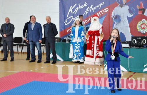 В Черемшане прошли соревнования по тхэквондо на кубок Деда Мороза (ФОТОРЕПОРТАЖ)