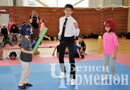 В Черемшане прошли соревнования по тхэквондо на кубок Деда Мороза (ФОТОРЕПОРТАЖ)