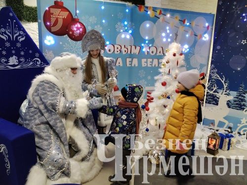 Чирмешәндә үзәк чыршының утлары кабынды (ФОТОРЕПОРТАЖ)