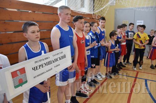 За вами как за каменной стеной! (ФОТОРЕПОРТАЖ)