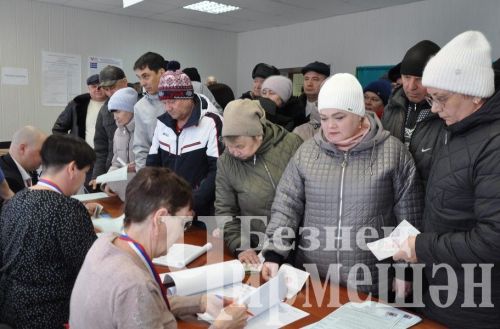 Черемшанцы принимают активное участие на выборах Президента России (ФОТОРЕПОРТАЖ)
