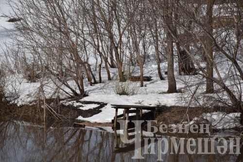 В Черемшане - весна (ФОТОРЕПОРТАЖ)