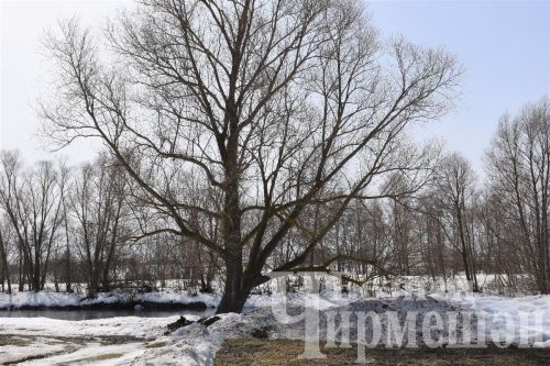 В Черемшане - весна (ФОТОРЕПОРТАЖ)