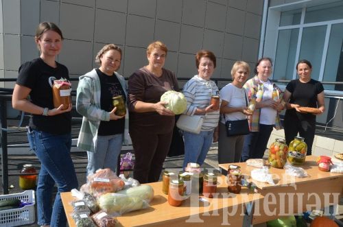 Чирмешән районы сайлау участокларыннан фотолар