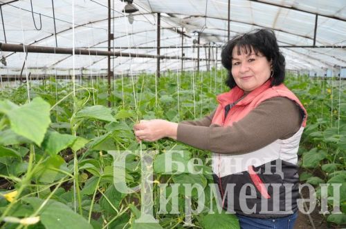 Иске Үтәмеш авылында халык җыены үтте (ФОТОРЕПОРТАЖ)