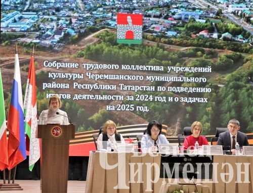 Чирмешән районы мәдәният хезмәткәрләре үткән елга йомгак ясадылар (ФОТОРЕПОРТАЖ)