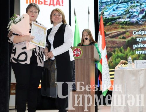 Чирмешән районы мәдәният хезмәткәрләре үткән елга йомгак ясадылар (ФОТОРЕПОРТАЖ)