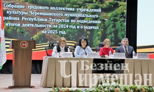 Чирмешән районы мәдәният хезмәткәрләре үткән елга йомгак ясадылар (ФОТОРЕПОРТАЖ)