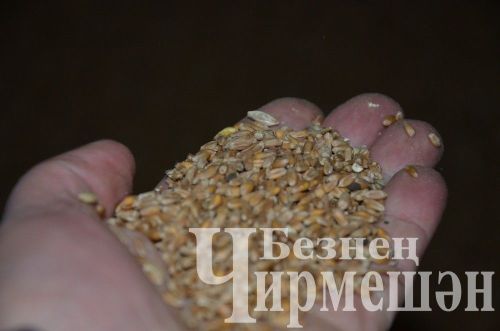 Чирмешән районында хуҗалыкларның кыр эшләренә әзерлеген район җитәкчелеге бәяли (ФОТОРЕПОРТАЖ)