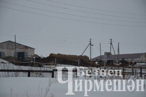 Чирмешән районында хуҗалыкларның кыр эшләренә әзерлеген район җитәкчелеге бәяли (ФОТОРЕПОРТАЖ)