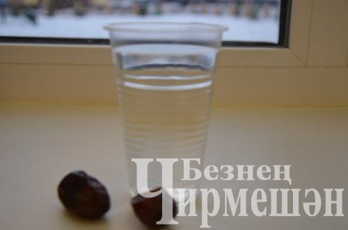 Район башлыгы Рамил Айбатов якташларын ифтарга дәште (ФОТОРЕПОРТАЖ)