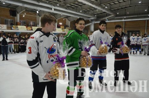 Черемшанские "Стальные совы" стали чемпионами Первенства РТ (ФОТОРЕПОРТАЖ)