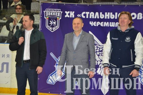 Черемшанские "Стальные совы" стали чемпионами Первенства РТ (ФОТОРЕПОРТАЖ)