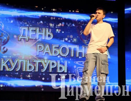 Чирмешәннең мәдәният хезмәткәрләре үзләренең һөнәри бәйрәмен үткәрделәр (ФОТОРЕПОРТАЖ)