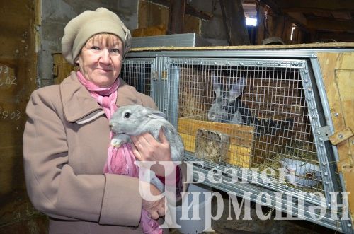 Объективта - Түбән Кармалка авылы