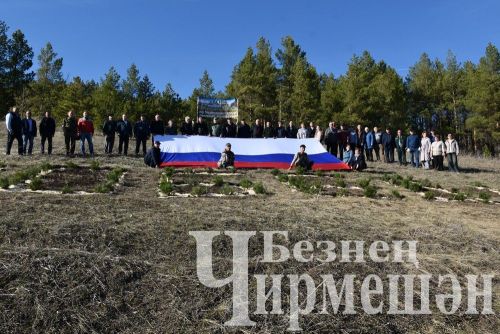 Чирмешәнлеләр "Хәтер бакчасы" акциясенә кушылды (ФОТОРЕПОРТАЖ)
