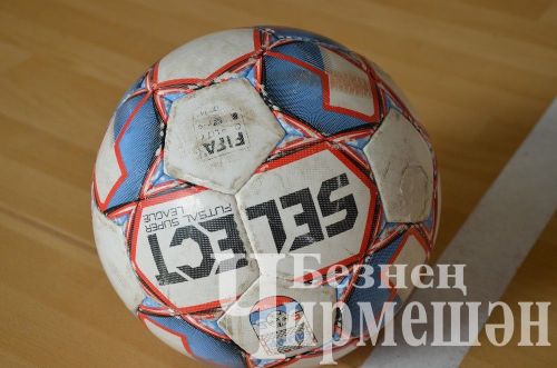 В Черемшане юные футболисты соревнуются в "Школьной футбольной лиге" (ФОТОРЕПОРТАЖ)
