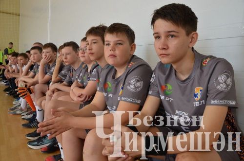 В Черемшане юные футболисты соревнуются в "Школьной футбольной лиге" (ФОТОРЕПОРТАЖ)