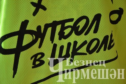 В Черемшане юные футболисты соревнуются в "Школьной футбольной лиге" (ФОТОРЕПОРТАЖ)