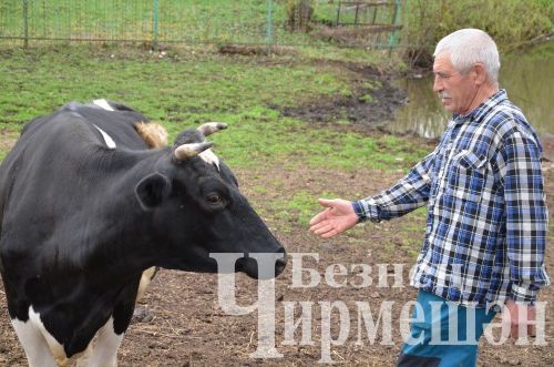 Объективта - Утыз Имән авылы уңганнары (ФОТОРЕПОРТАЖ)