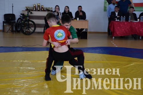 В Черемшане на турнире по борьбе в память об Ильясе Галимове приняли участие более 150 юных спортсменов (ФОТОРЕПОРТАЖ)