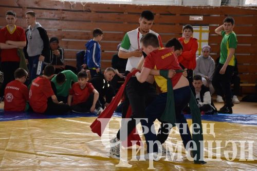 Ильяс Галимов истәлегенә Чирмешәндә көрәш турнирында 150дән күбрәк яшь спортчы катнашты (ФОТОРЕПОРТАЖ)