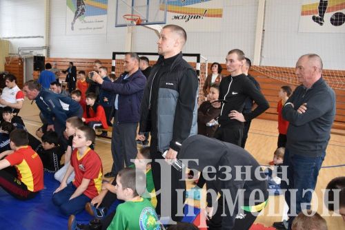 В Черемшане на турнире по борьбе в память об Ильясе Галимове приняли участие более 150 юных спортсменов (ФОТОРЕПОРТАЖ)