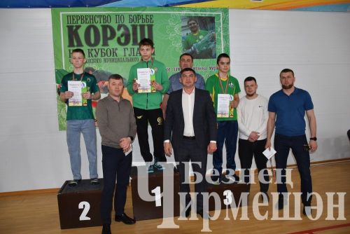 В Черемшане на турнире по борьбе в память об Ильясе Галимове приняли участие более 150 юных спортсменов (ФОТОРЕПОРТАЖ)