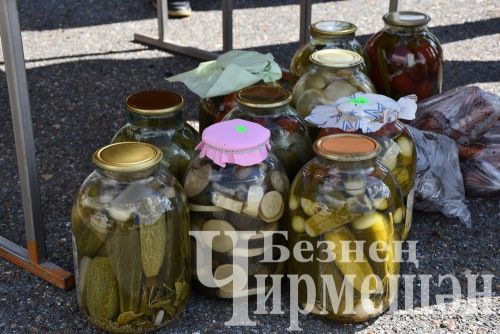 Чирмешәндә чираттагы Игелек ярминкәсе үтте (ФОТОРЕПОРТАЖ)