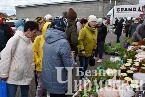 Чирмешәндә чираттагы Игелек ярминкәсе үтте (ФОТОРЕПОРТАЖ)