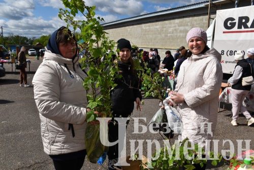 Чирмешәндә чираттагы Игелек ярминкәсе үтте (ФОТОРЕПОРТАЖ)