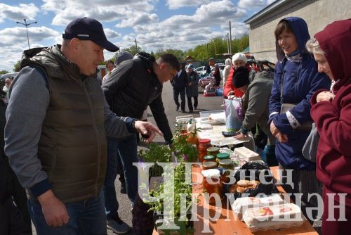 Чирмешәндә чираттагы Игелек ярминкәсе үтте (ФОТОРЕПОРТАЖ)