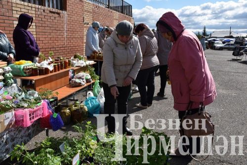 Чирмешәндә чираттагы Игелек ярминкәсе үтте (ФОТОРЕПОРТАЖ)