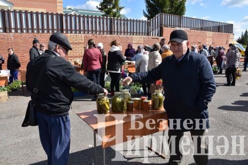 Чирмешәндә чираттагы Игелек ярминкәсе үтте (ФОТОРЕПОРТАЖ)