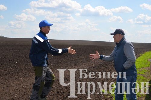Чирмешән районы башлыгы Рамил Айбатов иң яхшы механизаторларны акчалата сертификатлар белән бүләкләде (ФОТОРЕПОРТАЖ)