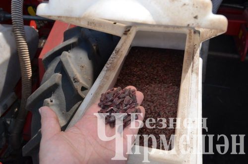 Чирмешән районы башлыгы Рамил Айбатов иң яхшы механизаторларны акчалата сертификатлар белән бүләкләде (ФОТОРЕПОРТАЖ)