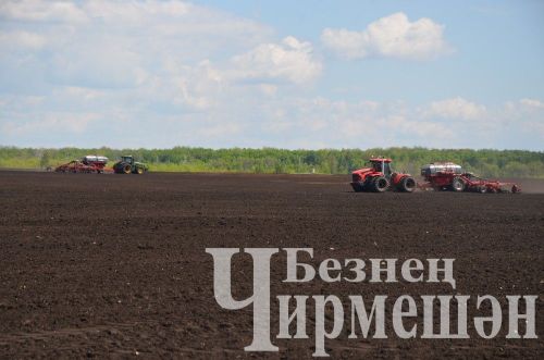 Чирмешән районы башлыгы Рамил Айбатов иң яхшы механизаторларны акчалата сертификатлар белән бүләкләде (ФОТОРЕПОРТАЖ)